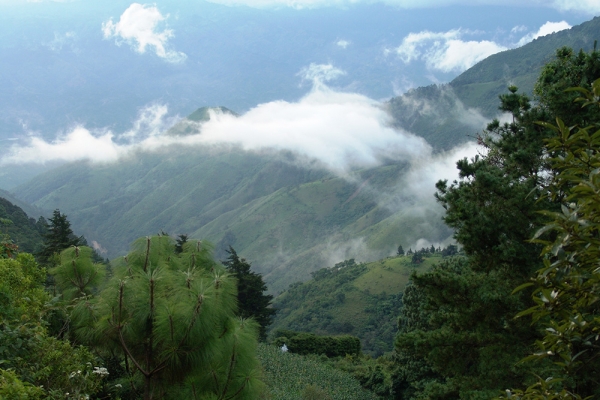 bosques-08F8DF99C8-4945-0665-9380-1AAF432896E0.jpg
