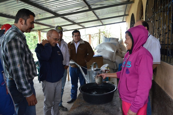 diversificacion-0630828640-DE57-0197-080E-70479BE05CF3.jpg