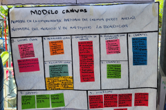 img-20241101-wa00248776B455-873F-93DE-7FF1-B2E3D6595899.jpg